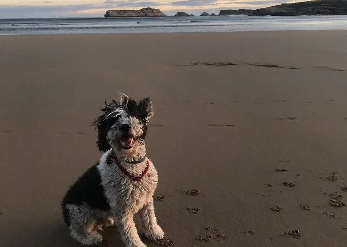 Apartman El Rincon De Denver *